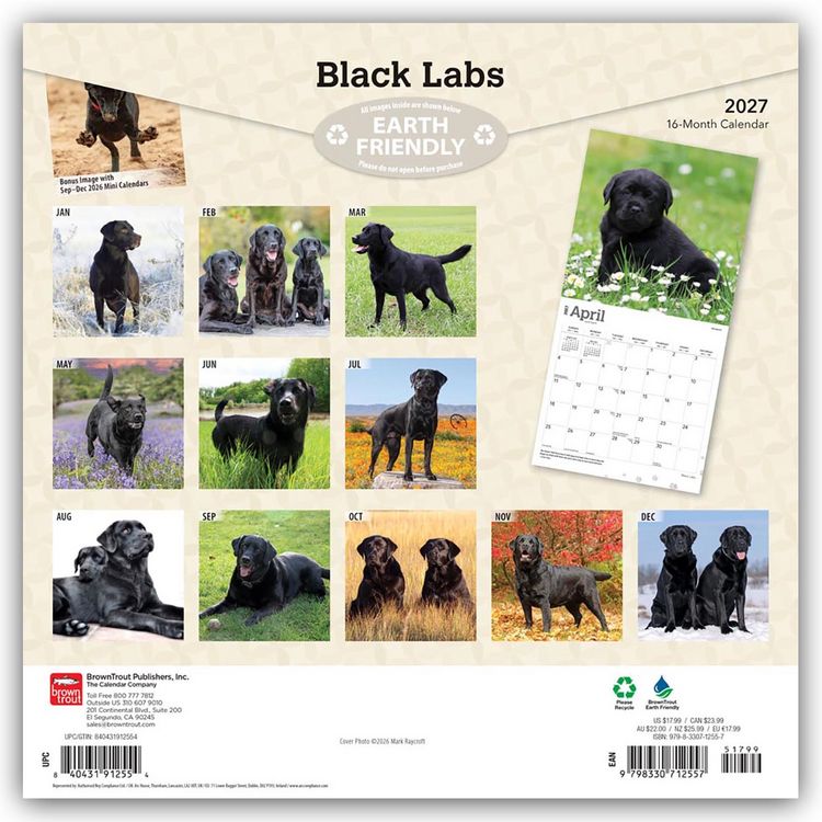 Produktbild: Black Labrador Retriever &ndash; Schwarze Labrador Retriever 2027 &ndash; 16-Monatskalender