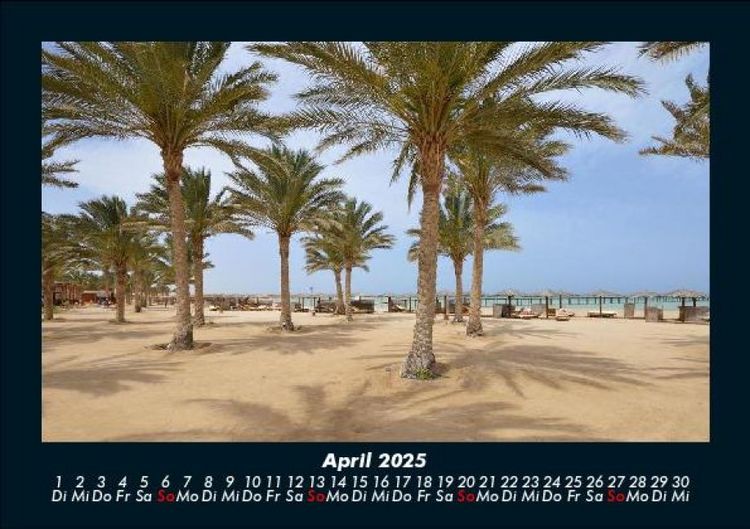 Produktbild: Palmen 2025 Fotokalender DIN A5