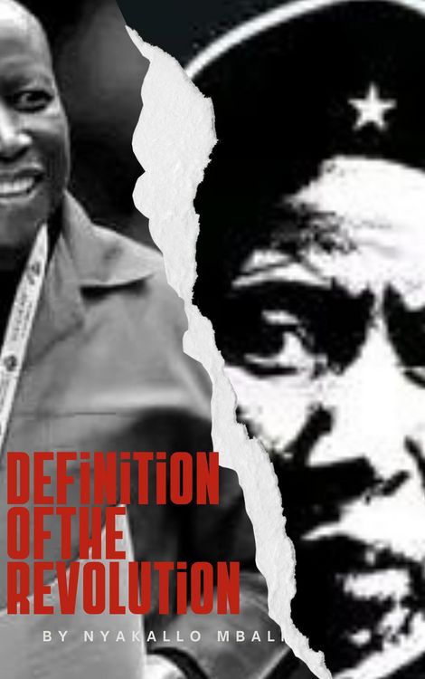 Produktbild: Definition of the Revolution