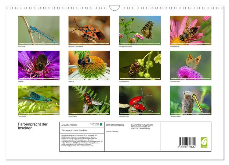 Produktbild: Farbenpracht der Insekten (Wandkalender 2026 DIN A3 quer), CALVENDO Monatskalender
