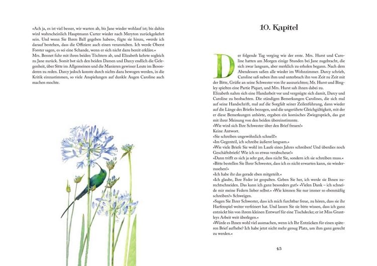Produktbild: Limitierte Sonderausgabe: Stolz und Vorurteil