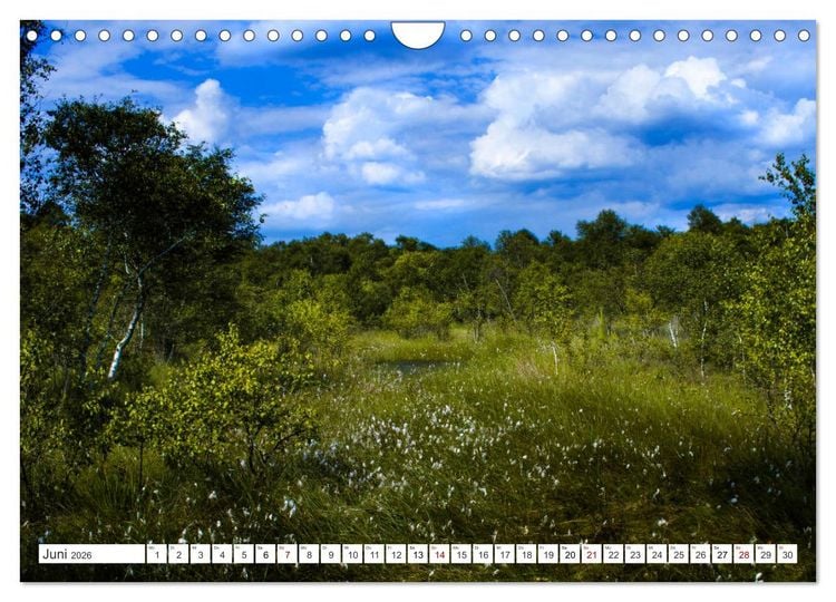 Produktbild: Osterholz-Scharmbeck, Natur-Impressionen aus dem Teufelsmoor (Wandkalender 2026 DIN A4 quer), CALVENDO Monatskalender