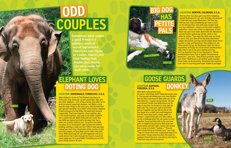 Produktbild: National Geographic Kids 125 True Stories of Amazing Animal Friendships