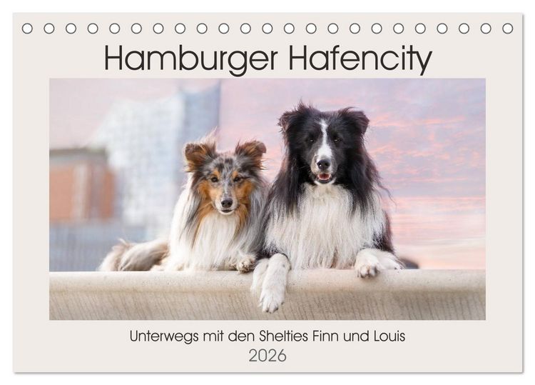 Produktbild: Hamburger Hafencity - Unterwegs mit den Shelties Finn und Louis (Tischkalender 2026 DIN A5 quer), CALVENDO Monatskalender