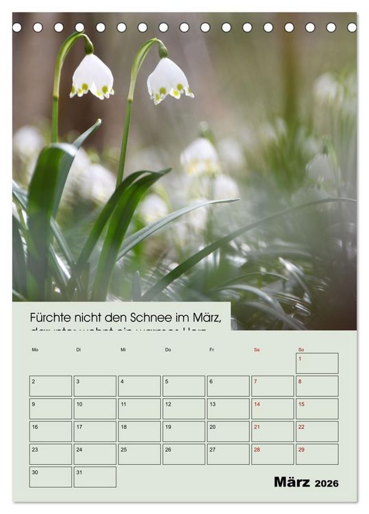 Produktbild: Wetter-Regeln der Bauern (Tischkalender 2026 DIN A5 hoch), CALVENDO Monatskalender