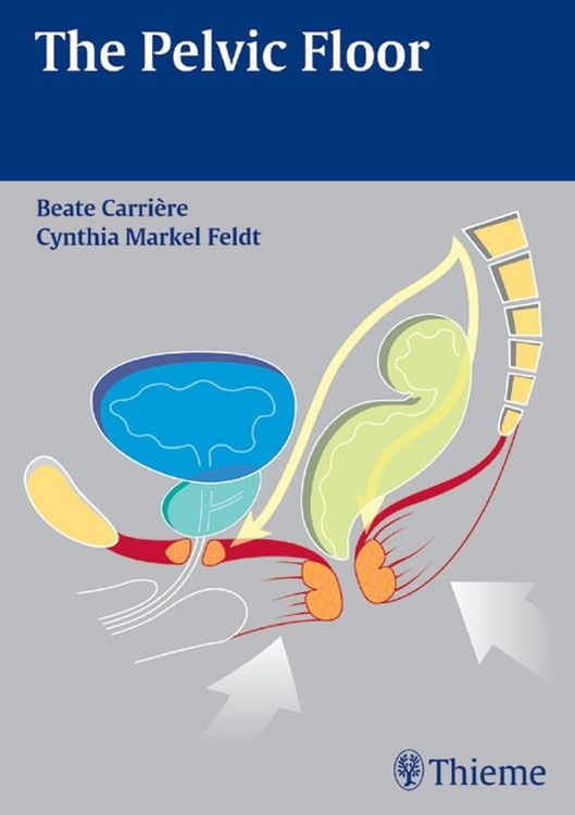 Produktbild: The Pelvic Floor