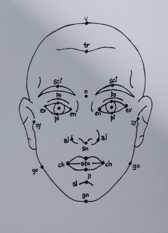 Produktbild: Megan Williams, Sheung Yiu: (Inter)Faces of Predictions