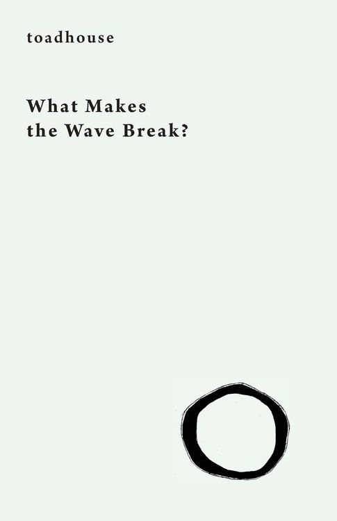 Produktbild: What Makes the Wave Break?