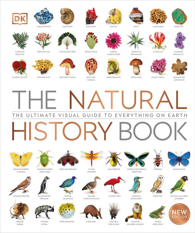 Produktbild: The Natural History Book
