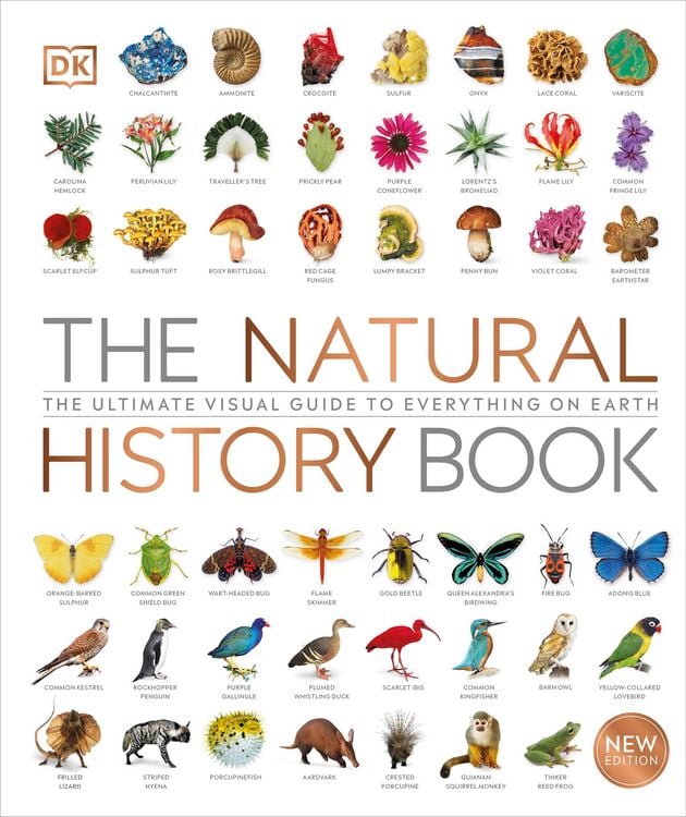 Produktbild: The Natural History Book