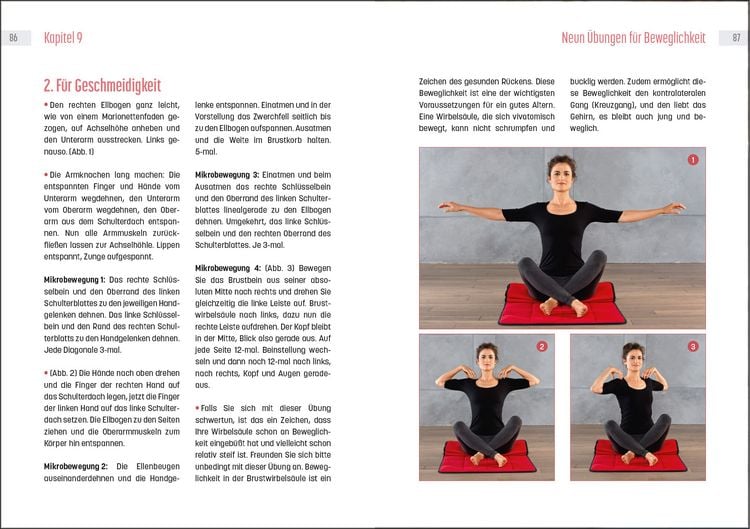 Produktbild: Powertraining mit Tigerfeeling