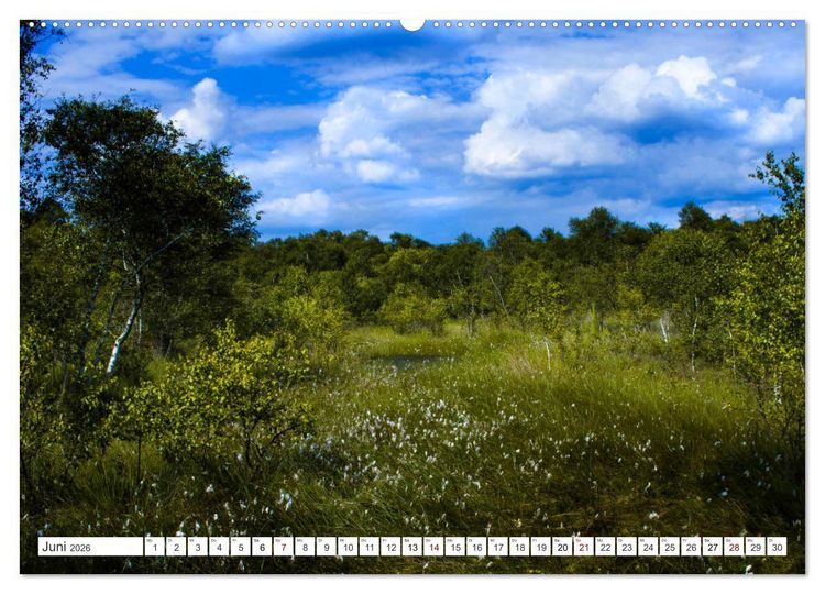 Produktbild: Osterholz-Scharmbeck, Natur-Impressionen aus dem Teufelsmoor (Wandkalender 2026 DIN A2 quer), CALVENDO Monatskalender