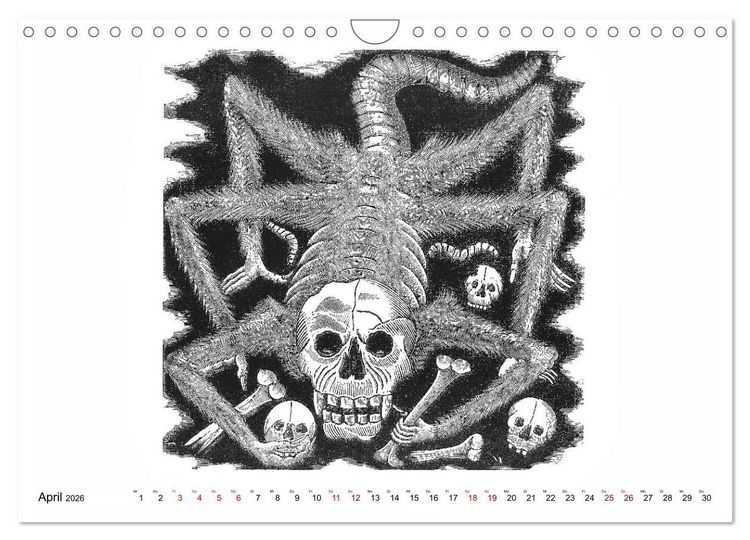 Produktbild: Calaveras - Totenk&ouml;pfe und Skelette (Wandkalender 2026 DIN A4 quer), CALVENDO Monatskalender