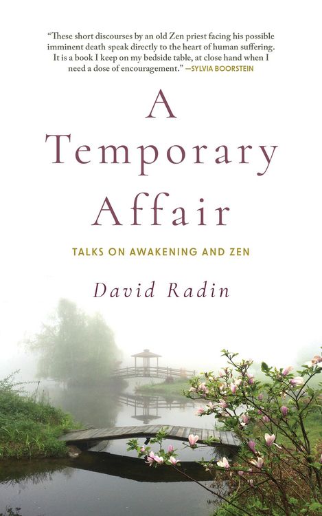 Produktbild: A Temporary Affair