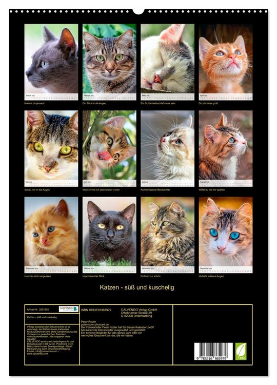 Produktbild: Katzen - s&uuml;&szlig; und kuschelig (hochwertiger Premium Wandkalender 2026 DIN A2 hoch), Kunstdruck in Hochglanz