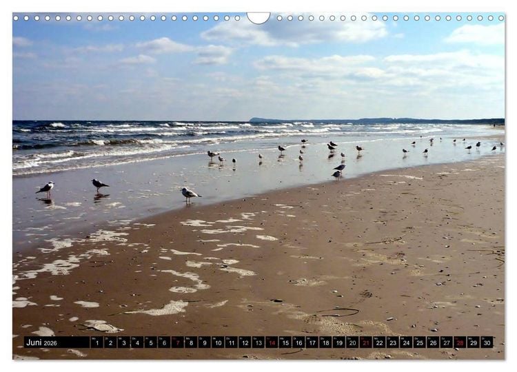 Produktbild: USEDOM - Seeb&auml;der und Naturparadies (Wandkalender 2026 DIN A3 quer), CALVENDO Monatskalender