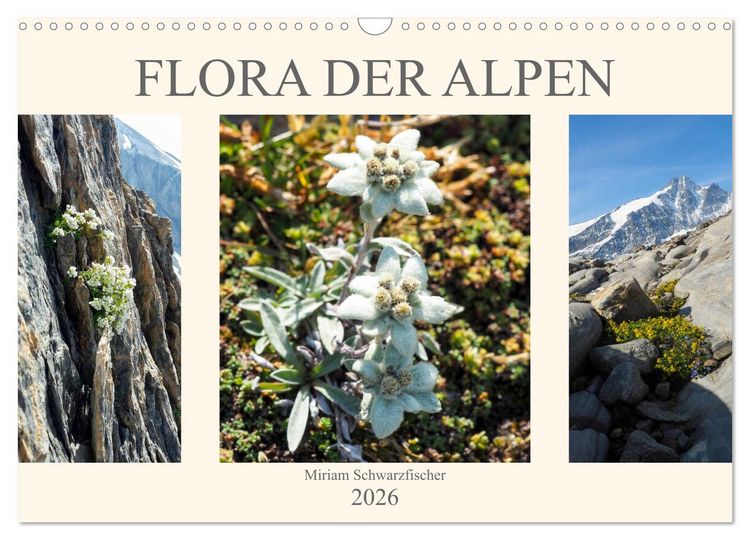Produktbild: Flora der Alpen (Wandkalender 2026 DIN A3 quer), CALVENDO Monatskalender