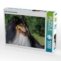 Produktbild: CALVENDO Puzzle Collie - Portr&auml;t eines R&uuml;den | 1000 Teile Lege-Gr&ouml;&szlig;e 64x48cm Foto-Puzzle f&uuml;r gl&uuml;ckliche Stunden