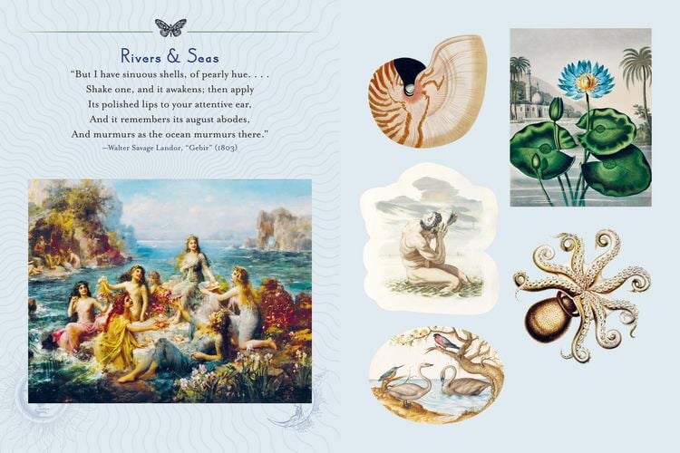 Produktbild: Mystical Earth Sticker Book