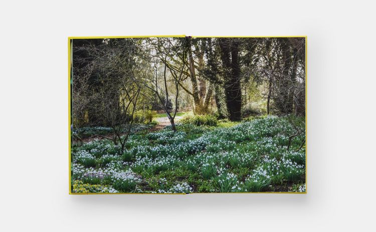 Produktbild: A Year in Bloom