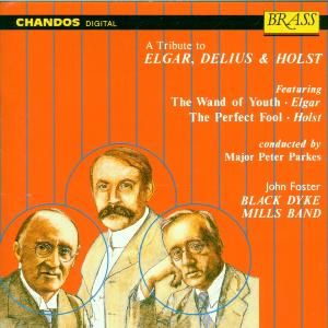 Produktbild: Parkes, P: Tribute To Elgar,Delius A.Holst
