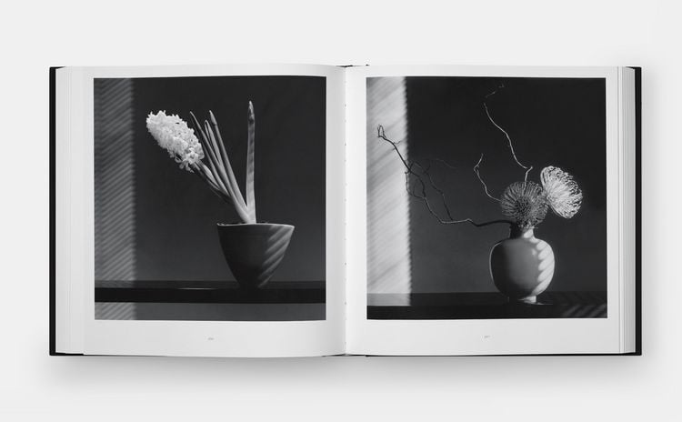 Produktbild: Mapplethorpe Flora: The Complete Flowers (2024)