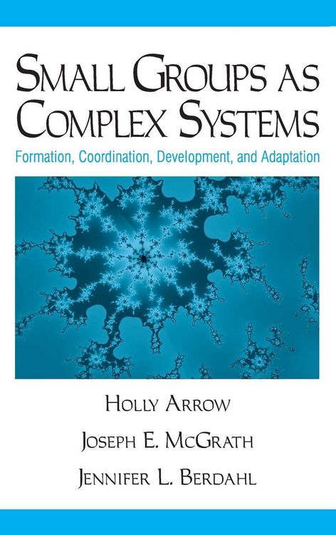 Produktbild: Small Groups as Complex Systems