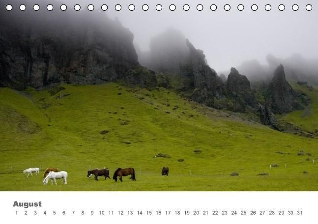 Produktbild: Islandpferde: Gef&auml;hrten der Wikinger (Tischkalender immerw&auml;hrend DIN A5 quer)