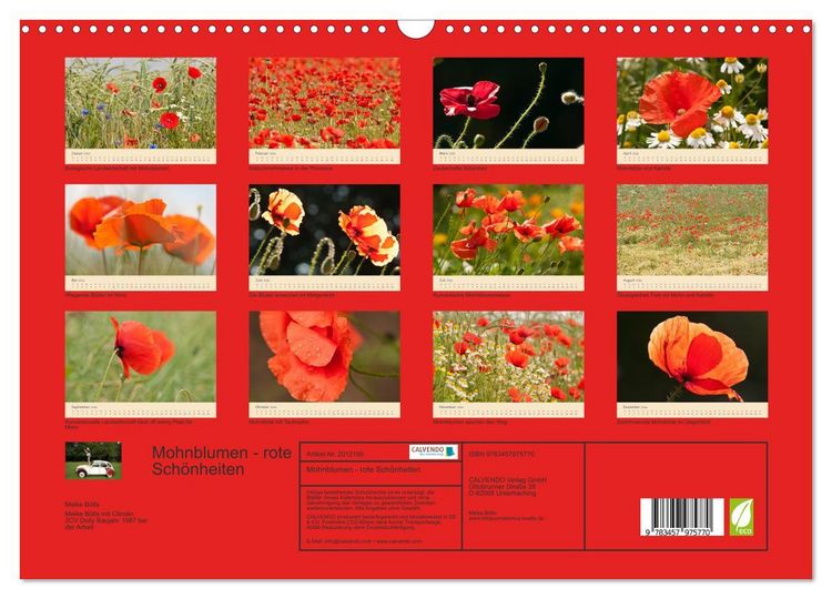Produktbild: Mohnblumen - rote Sch&ouml;nheiten (Wandkalender 2026 DIN A3 quer), CALVENDO Monatskalender
