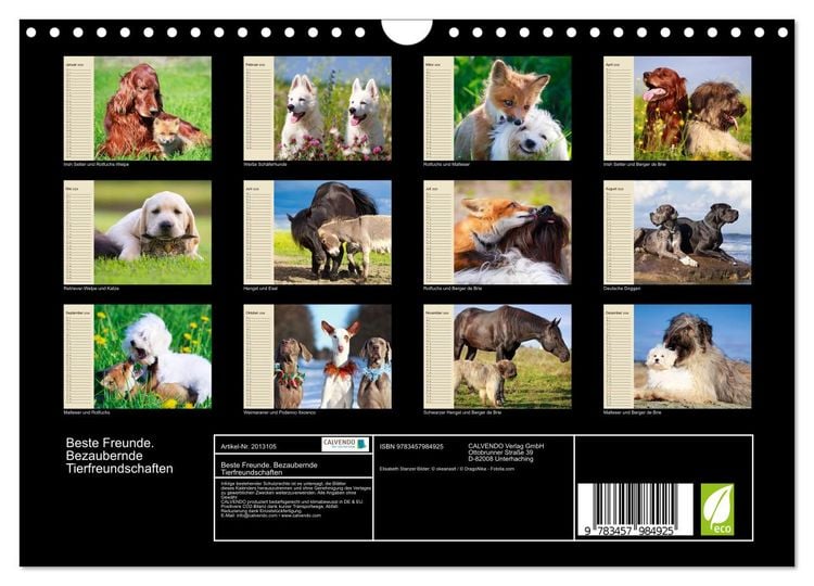 Produktbild: Beste Freunde. Bezaubernde Tierfreundschaften (Wandkalender 2026 DIN A4 quer), CALVENDO Monatskalender