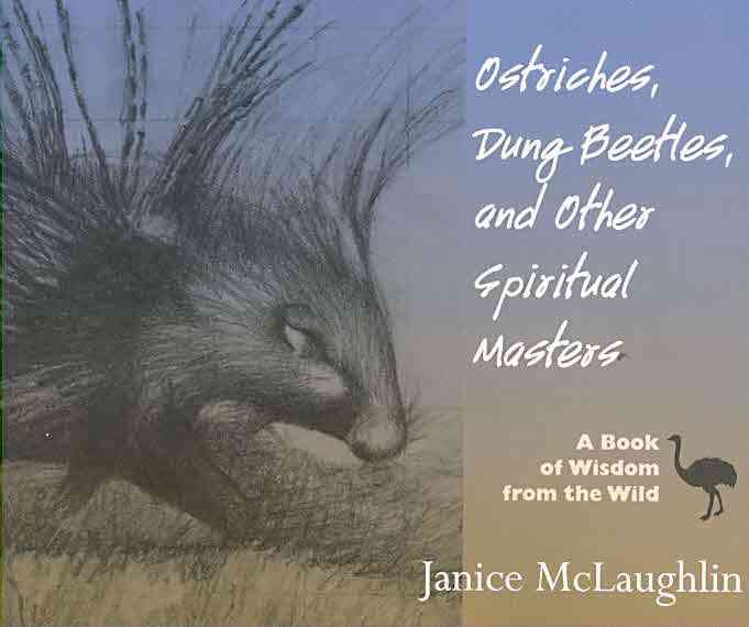 Produktbild: Ostriches, Dung Beetles and Other Spiritual Masters