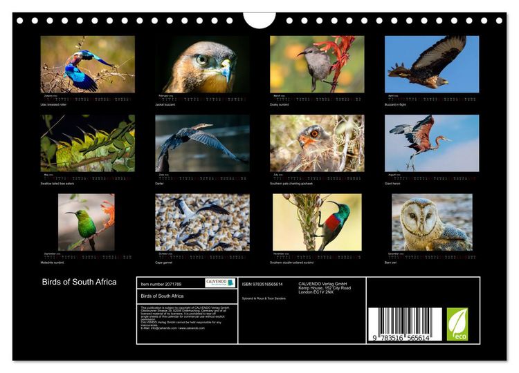 Produktbild: Birds of South Africa (Wall Calendar 2026 DIN A4 landscape), CALVENDO 12 Month Wall Calendar