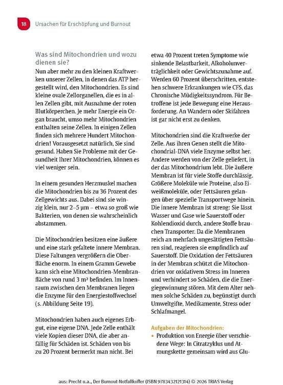 Produktbild: Der Burnout-Notfallkoffer