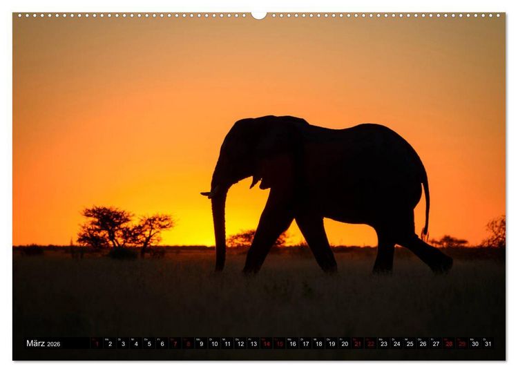 Produktbild: Faszination Botswana (hochwertiger Premium Wandkalender 2026 DIN A2 quer), Kunstdruck in Hochglanz