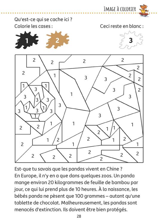 Produktbild: Bloc de casse-t&ecirc;tes et livre activite 6 ans : Des &eacute;nigmes color&eacute;es pour la maternelle - cahier activite 5 ans labyrinthe, sudoku, etc pour stimuler