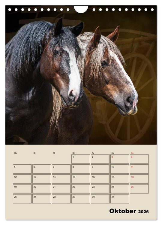 Produktbild: Pferdetr&auml;umereien - Traumbilder von Traumpferden (Wandkalender 2026 DIN A4 hoch), CALVENDO Monatskalender