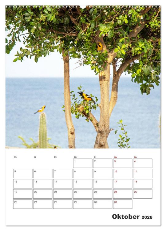 Produktbild: Curacao - Terminplaner (hochwertiger Premium Wandkalender 2026 DIN A2 hoch), Kunstdruck in Hochglanz