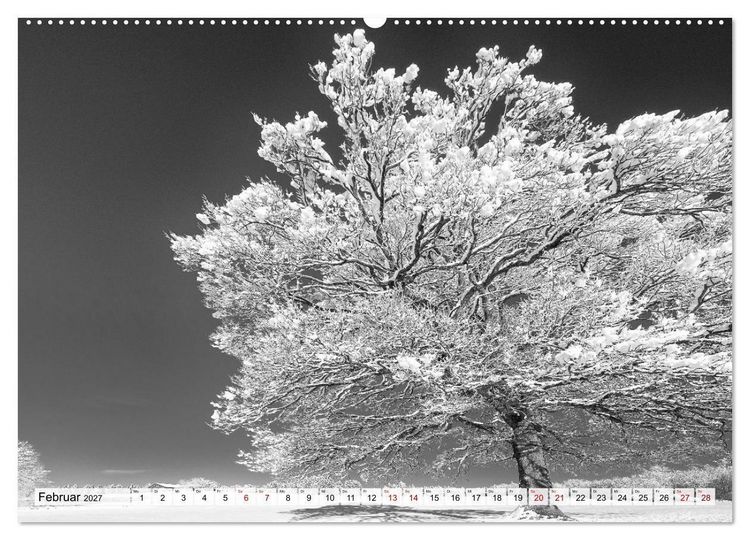 Produktbild: Traumhafte Allg&auml;uer Alpen (hochwertiger Premium Wandkalender 2027 DIN A2 quer), Kunstdruck in Hochglanz
