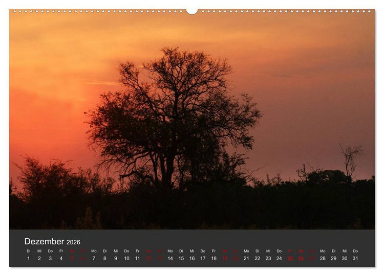 Produktbild: S&uuml;dafrika - Einzigartige Natursch&ouml;nheit (hochwertiger Premium Wandkalender 2026 DIN A2 quer), Kunstdruck in Hochglanz