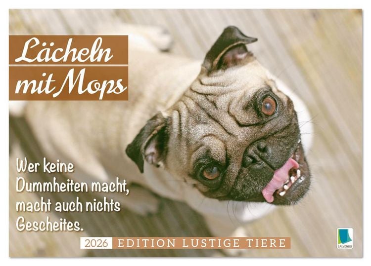 Produktbild: L&auml;cheln mit Mops (Tischkalender 2026 DIN A5 quer), CALVENDO Monatskalender