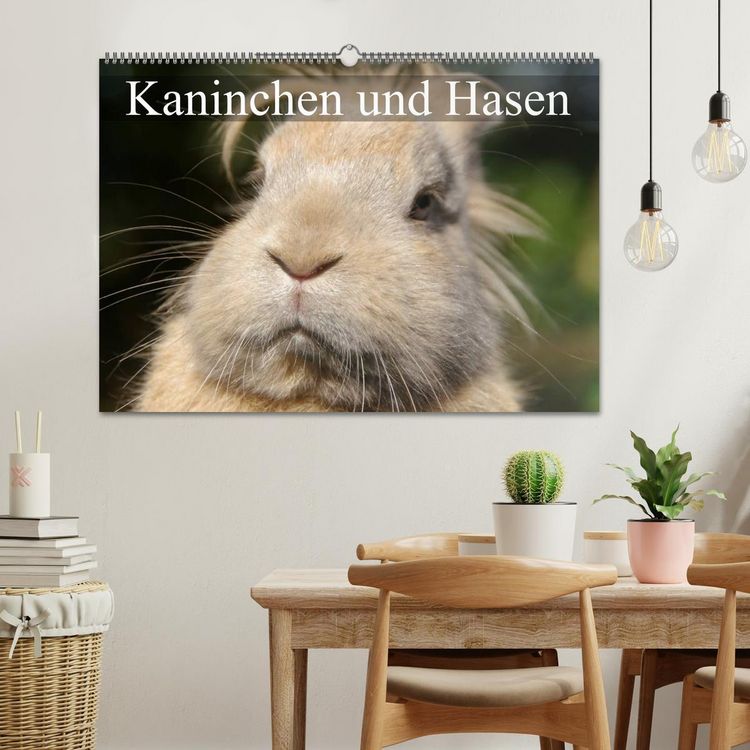 Produktbild: Kaninchen und Hasen (Wandkalender 2026 DIN A2 quer), CALVENDO Monatskalender