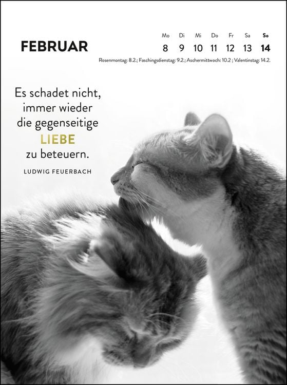 Produktbild: Wochenkalender 2027: Goldene Katzenweisheiten f&uuml;r jeden Tag