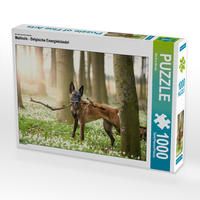 Produktbild: CALVENDO Puzzle Ein Motiv aus dem Kalender Malinois - Belgische Energieb&uuml;ndel | 1000 Teile Lege-Gr&ouml;&szlig;e 64x48cm Foto-Puzzle f&uuml;r gl&uuml;ckliche Stunden