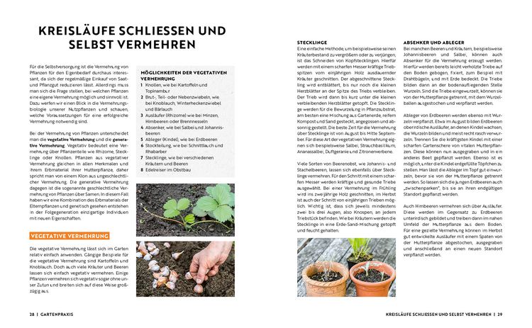 Produktbild: Gartenmomente: Einfach selbstversorgt