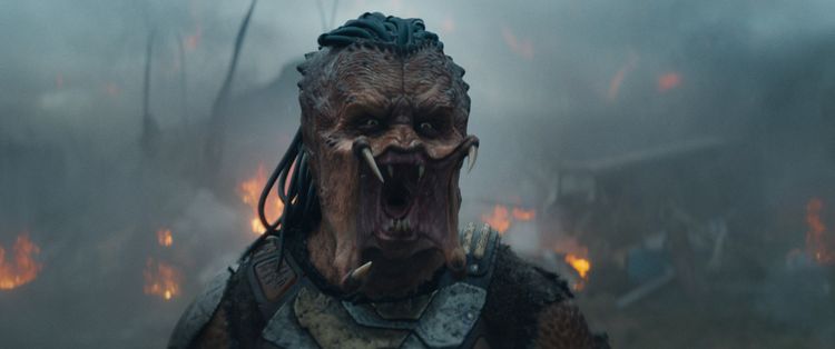Produktbild: Predator: Badlands (4K Ultra HD) (+ Blu-ray)
