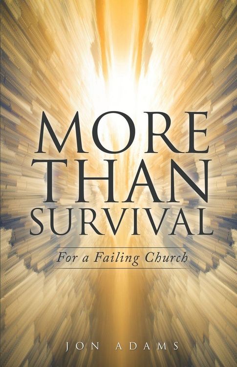 Produktbild: More Than Survival