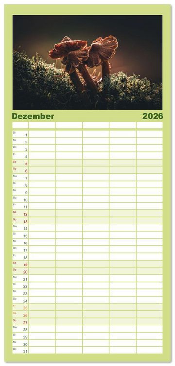 Produktbild: Familienplaner 2026 - Wundersame Pilzwelten mit 5 Spalten (Wandkalender, 21 x 45 cm) CALVENDO
