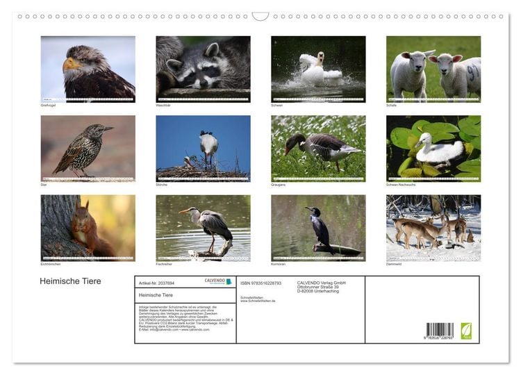 Produktbild: Heimische Tiere (Wandkalender 2026 DIN A2 quer), CALVENDO Monatskalender