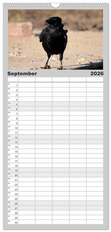 Produktbild: Familienplaner 2026 - Rabenschwarze Impressionen - meike-ajo-dettlaff.de via wildvogelhlfe.org mit 5 Spalten (Wandkalender, 21 x 45 cm) CALVENDO