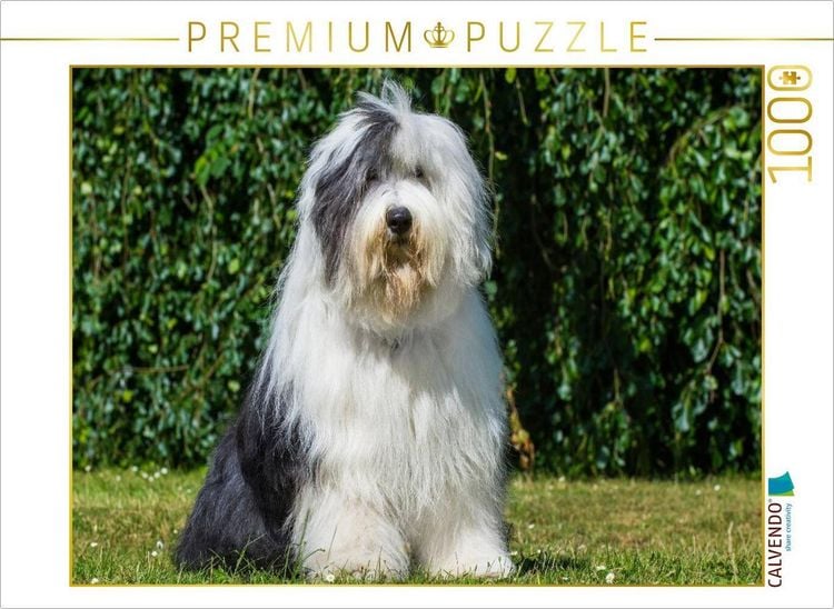 Produktbild: CALVENDO Puzzle Sitzender Bobtail | 1000 Teile Lege-Gr&ouml;&szlig;e 64x48cm Foto-Puzzle f&uuml;r gl&uuml;ckliche Stunden